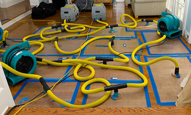 Professional Crawl Space Water Removal technician working in Greenwood, PA